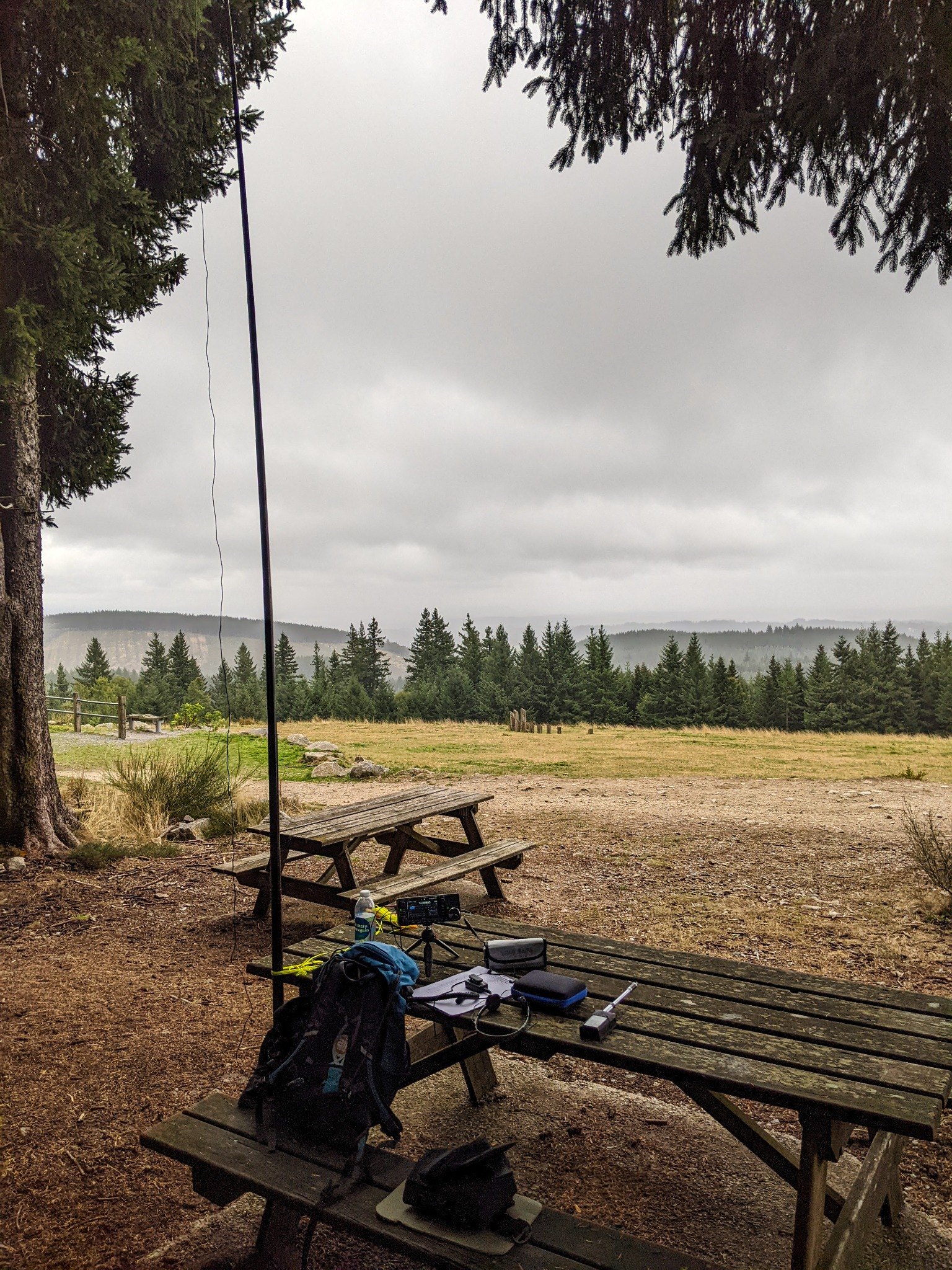 Bench and mast in a forest clearing